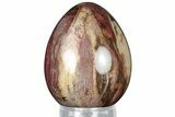 Colorful, Polished Petrified Wood Egg - Madagascar #318349-1